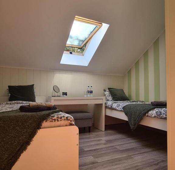 اتاق استاندارد, Guest House Kaktus
