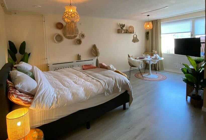 غرفة قياسية مزوَّدة بتراس, Bed En Koffie Casa Mañana De Koog