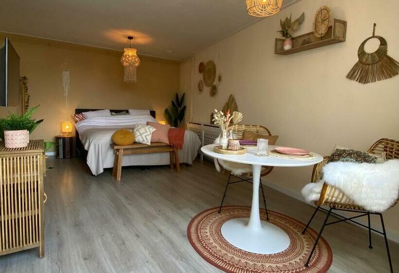 غرفة قياسية مزوَّدة بتراس, Bed En Koffie Casa Mañana De Koog