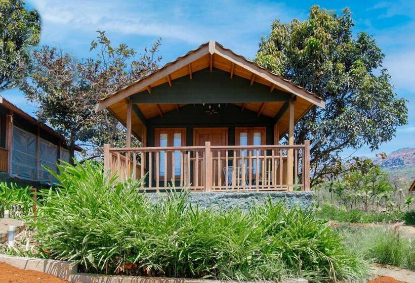 小室, Canary Islands Resort & Spa