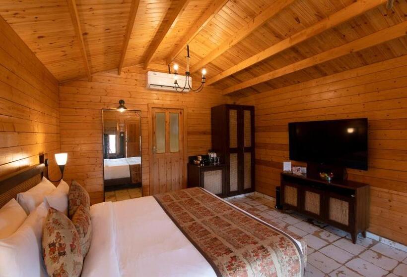 小室, Canary Islands Resort & Spa