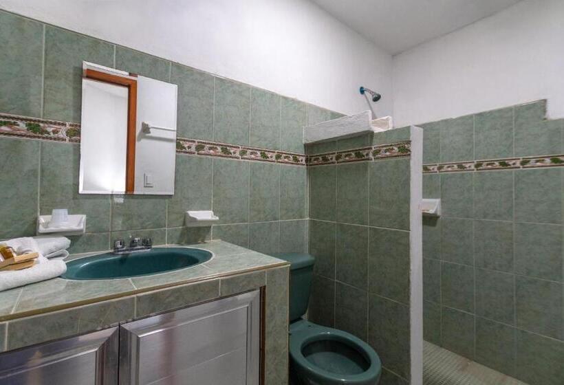 اتاق استاندارد یک نفره, Mérida 62