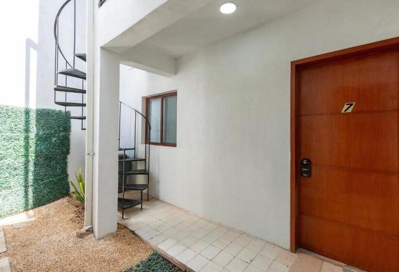 اتاق استاندارد یک نفره, Mérida 62