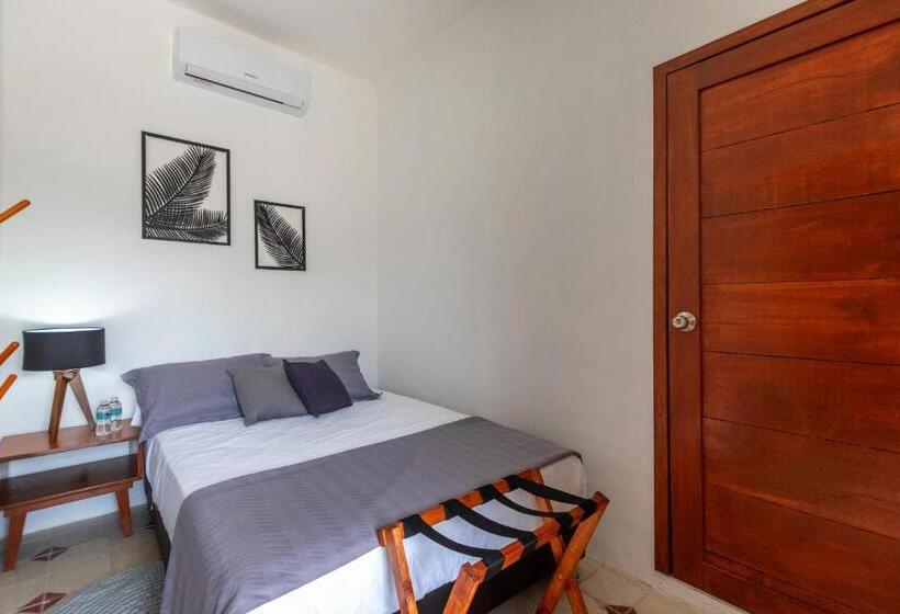 اتاق استاندارد, Mérida 62