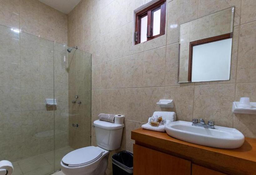 اتاق استاندارد, Mérida 62