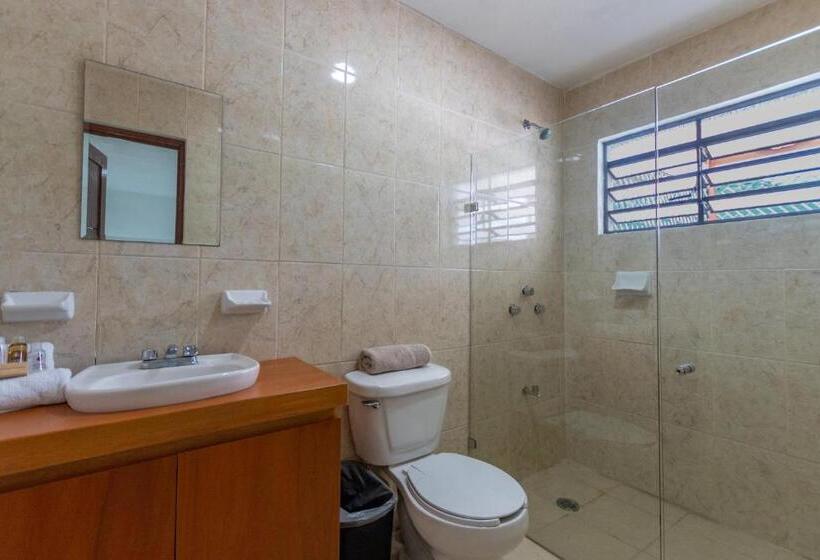 اتاق لوکس, Mérida 62