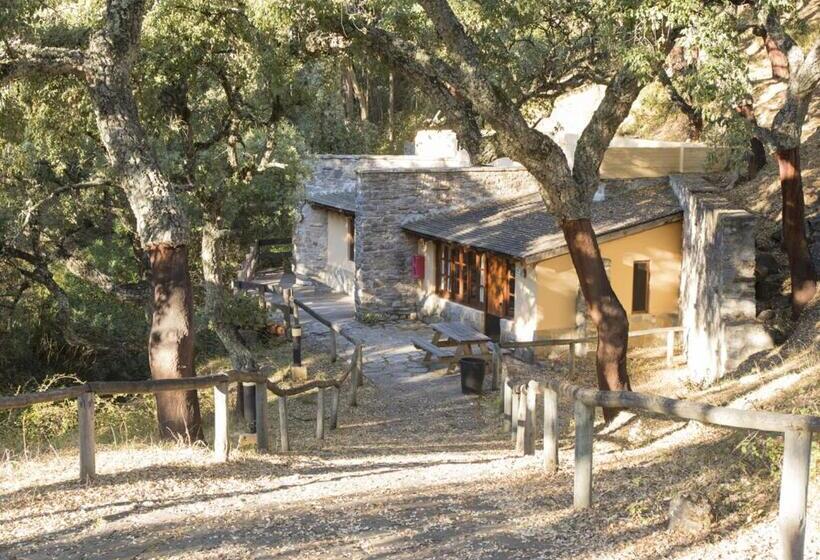 Cama en Habitación Compartida, Albergue Inturjoven Cortes De La Frontera