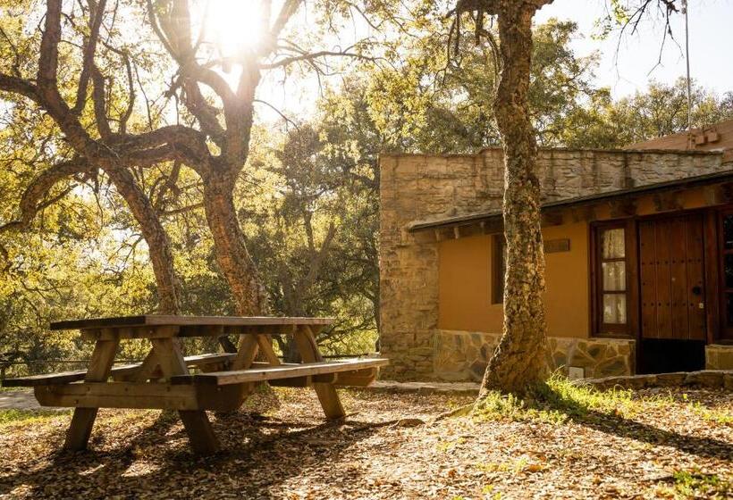 Bungalow Estándar, Albergue Inturjoven Cortes De La Frontera