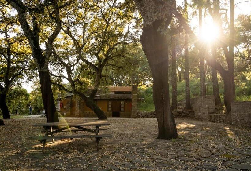 بنجلو قياسى, Albergue Inturjoven Cortes De La Frontera