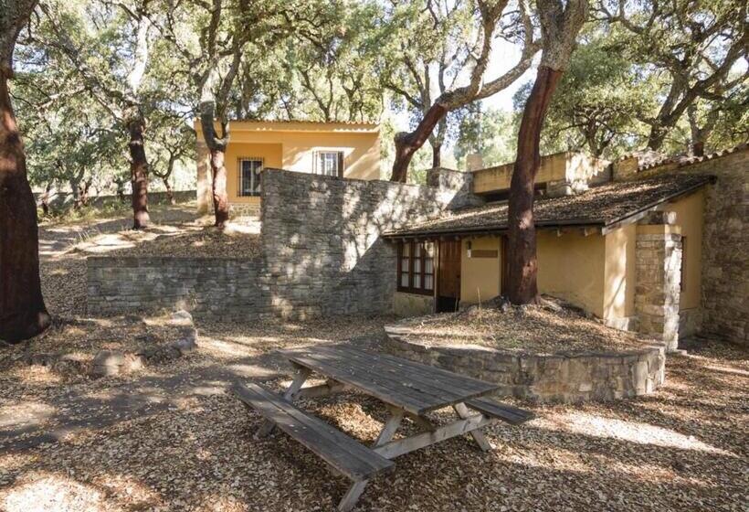 Bungalow Estándar, Albergue Inturjoven Cortes De La Frontera