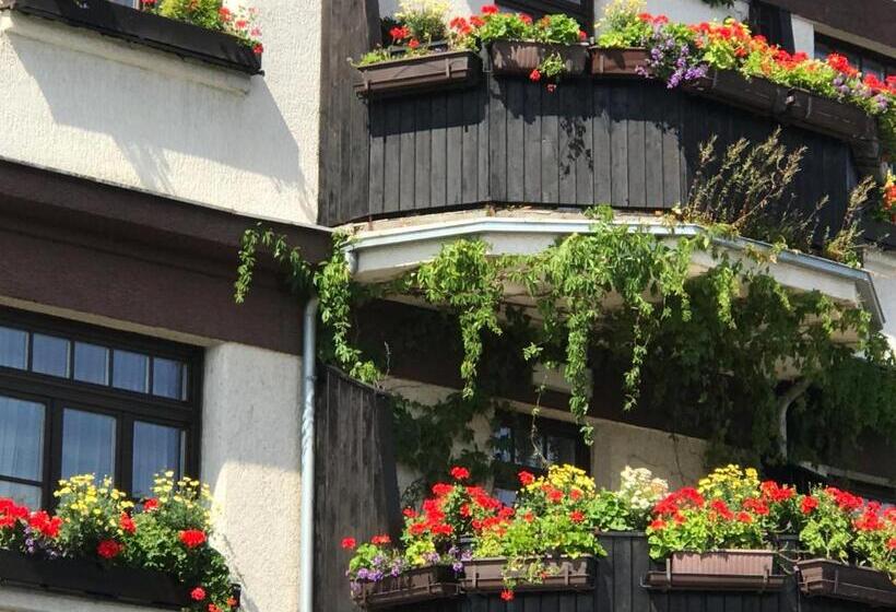 سوییت لوکس, Antik Hotel Sofia