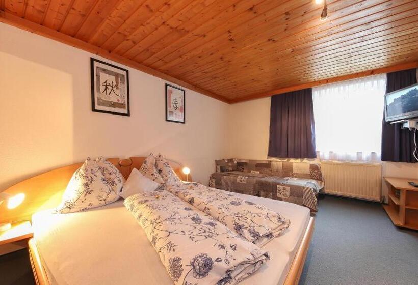 Superior Room, Pension Hauser