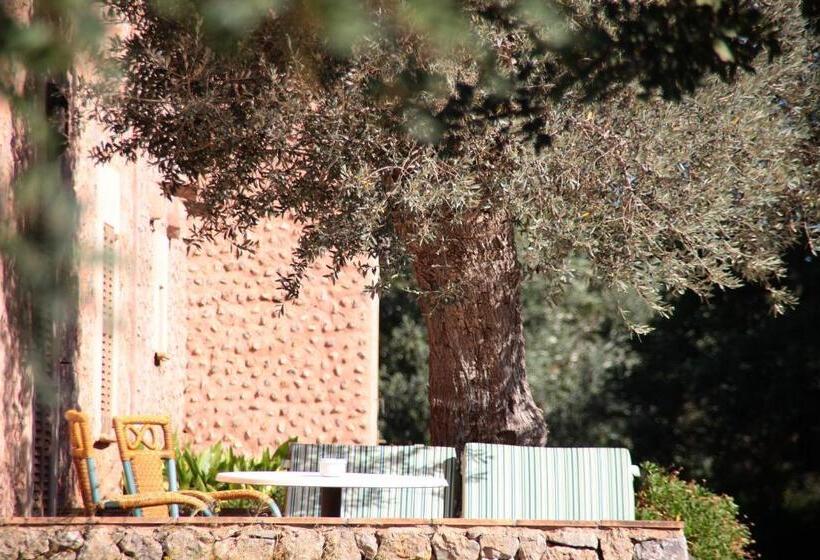 اتاق استاندارد با تراس, Ca S Garriguer