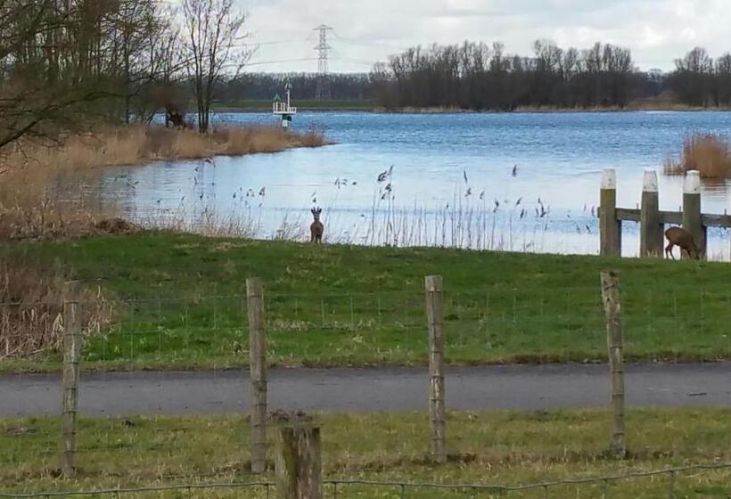 Pokój Ekonomiczny, De Brabantse Biesbosch