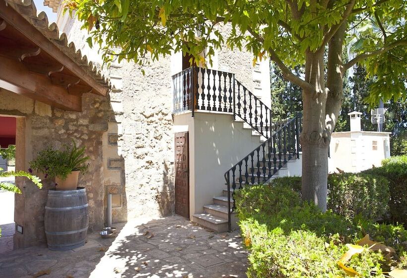 اتاق دوبلکس, S Hort De Son Caulelles   Adults Only