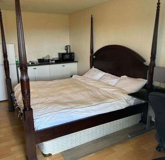 اتاق سوپریور با تخت بزرگ, Kings Court Motel