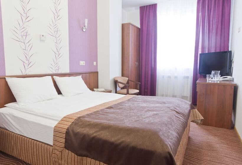 Standard Room, Park Hotel Nadezhda