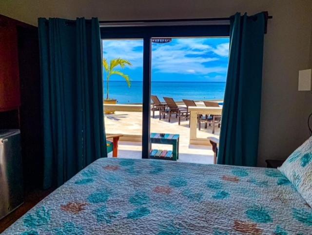 اتاق استاندارد با تخت بزرگ, Brisas Del Mar Beach + Dive Resort