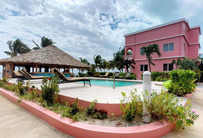 استودیوی استاندارد, Caribe Island Studio #2