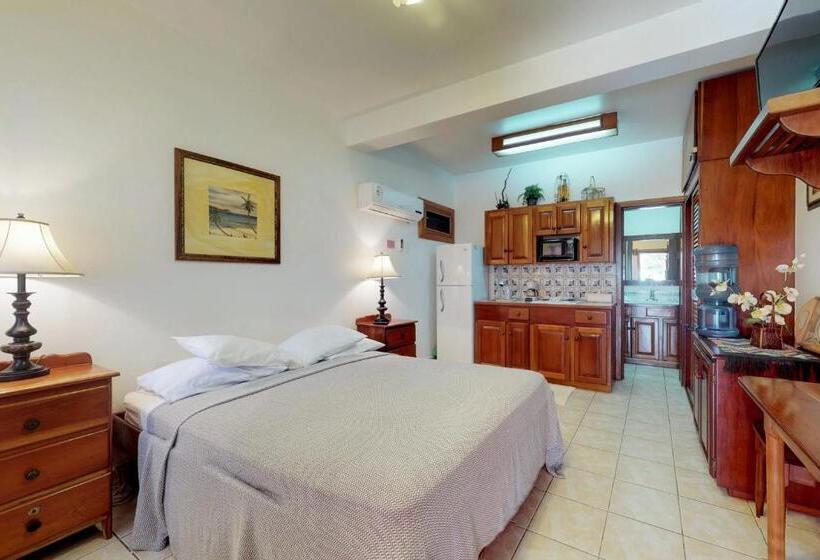 استودیوی استاندارد, Caribe Island Studio #2