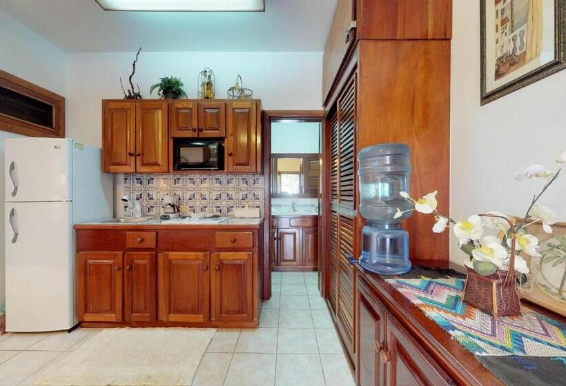 استودیوی استاندارد, Caribe Island Studio #2