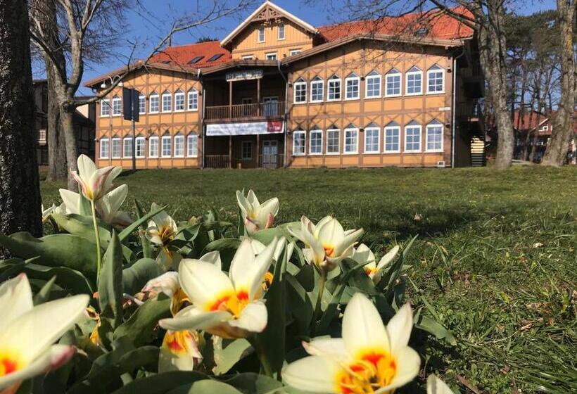 آپارتمان سوپریور 1 خوابه, Vila May