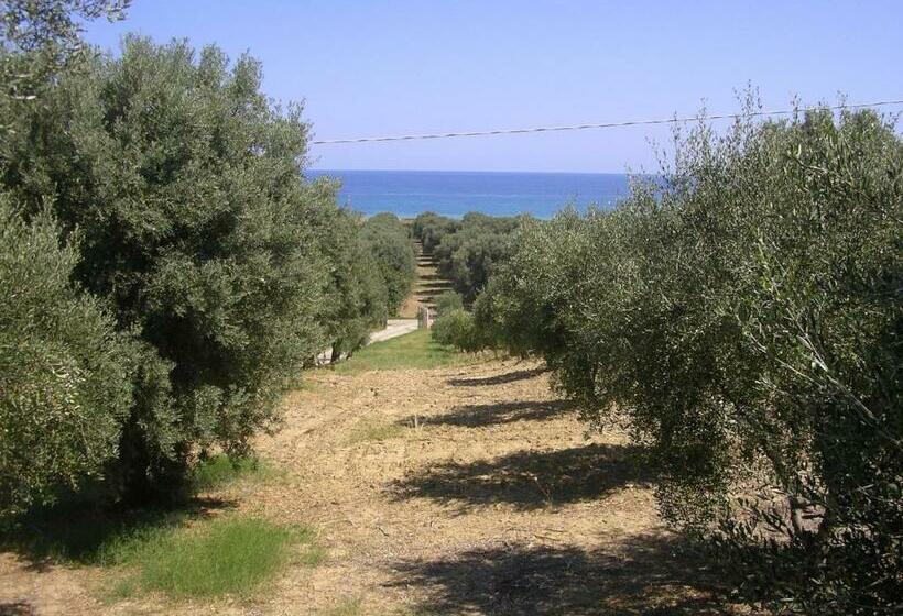 آپارتمان 1 خوابه با تراس, Agriturismo Torre Rinusa