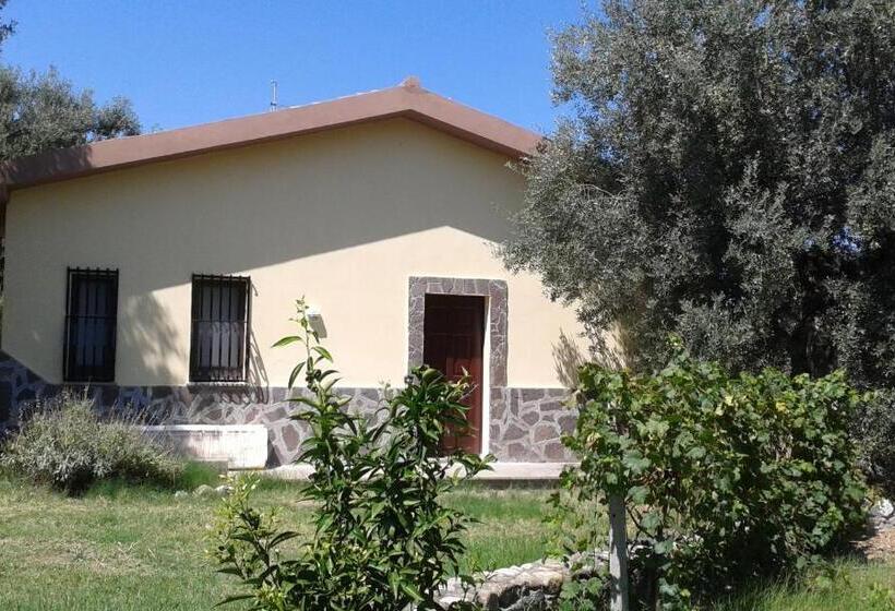 آپارتمان 1 خوابه با چشم‌انداز دریا, Agriturismo Torre Rinusa
