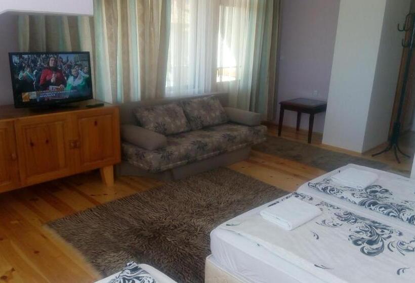 اتاق استاندارد سه نفره, Guest House Garbevi
