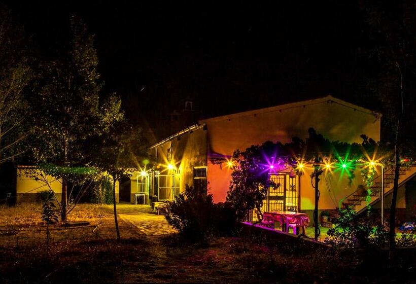 اتاق اکونومی, Vakantieboerderij La Balsa