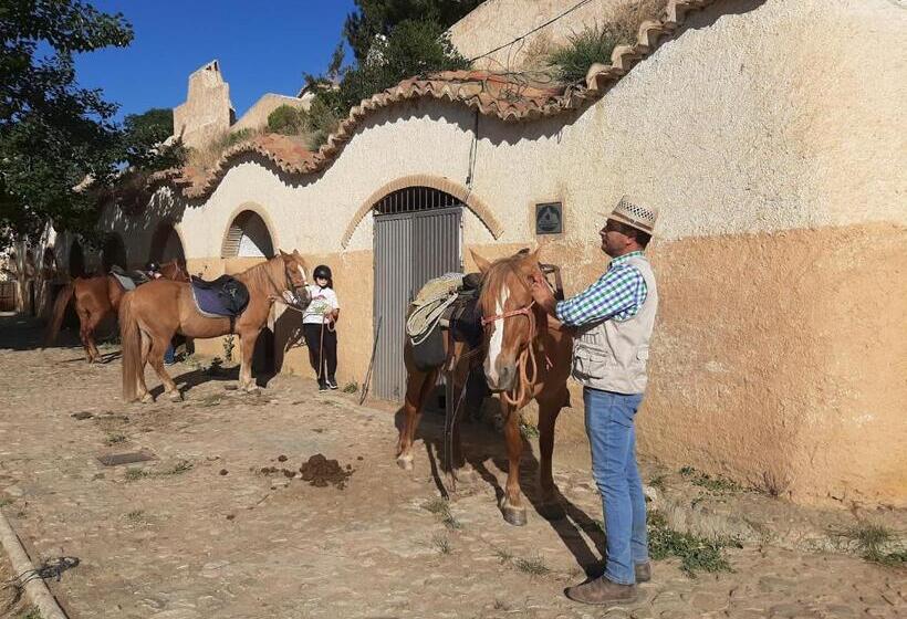 اتاق اکونومی, Vakantieboerderij La Balsa