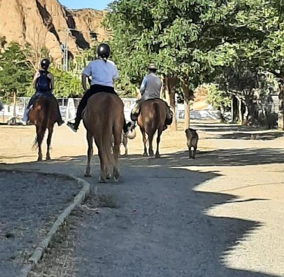 اتاق استاندارد با سرویس بهداشتی مشترک, Vakantieboerderij La Balsa