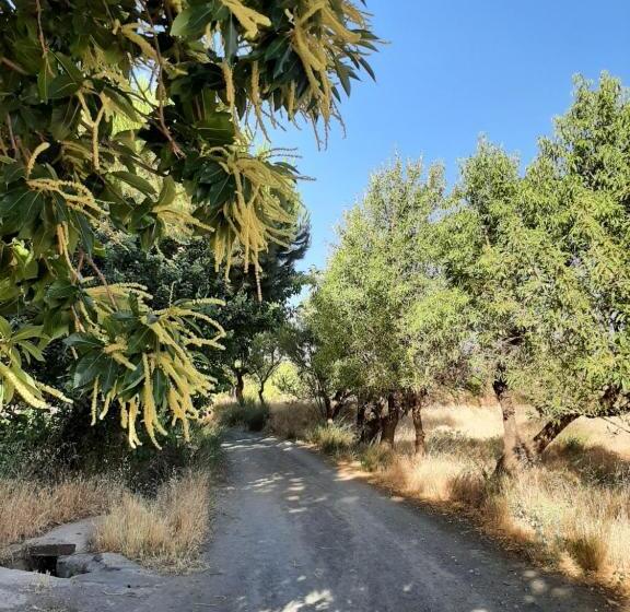 اتاق اکونومی, Vakantieboerderij La Balsa