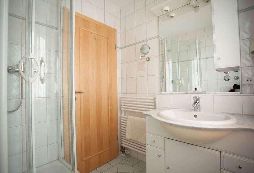 اتاق استاندارد یک نفره, Deva Hotel Beim Egger