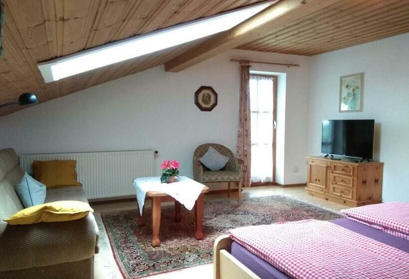 آپارتمان 1 خوابه با بالکن, Gschwingerhof