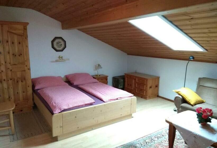 آپارتمان 1 خوابه با بالکن, Gschwingerhof