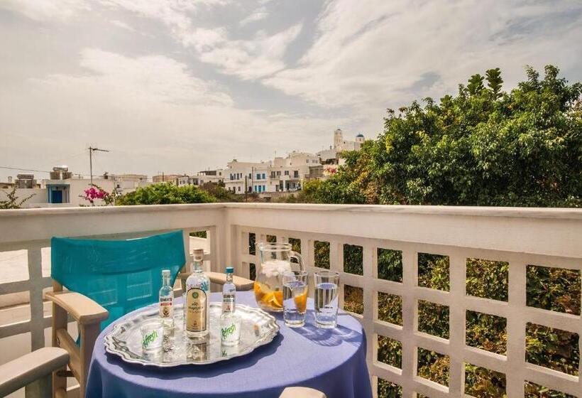 اتاق استاندارد, Semiramis Guesthouse