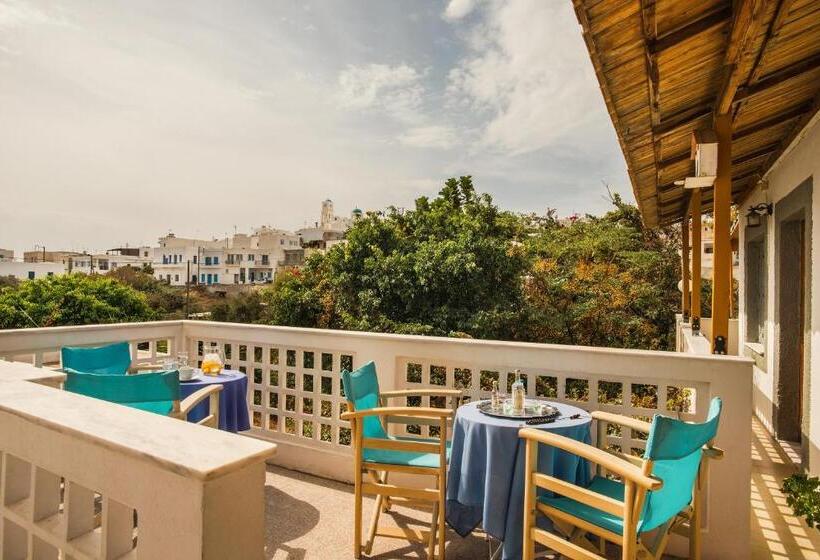 اتاق استاندارد, Semiramis Guesthouse