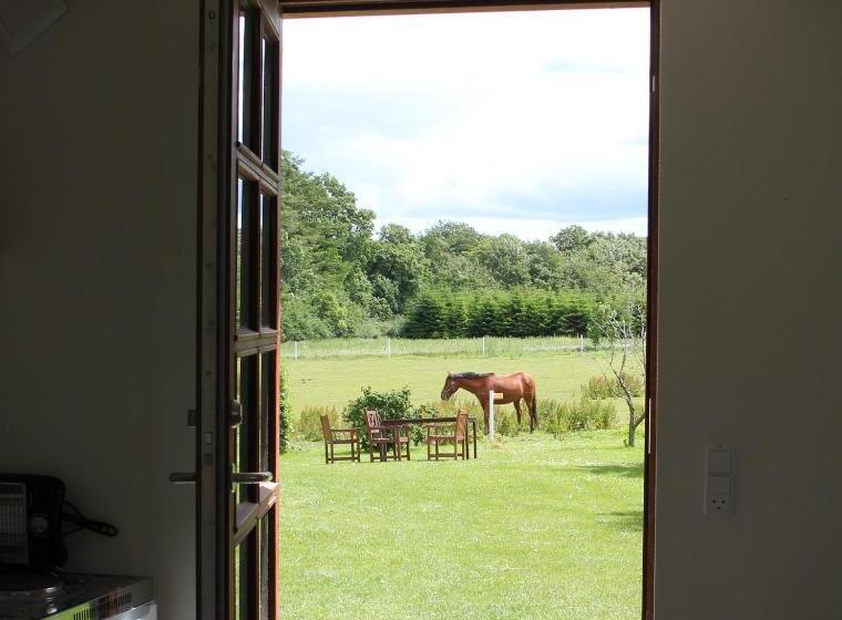 استودیوی استاندارد, Munkebjerg Bed & Breakfast