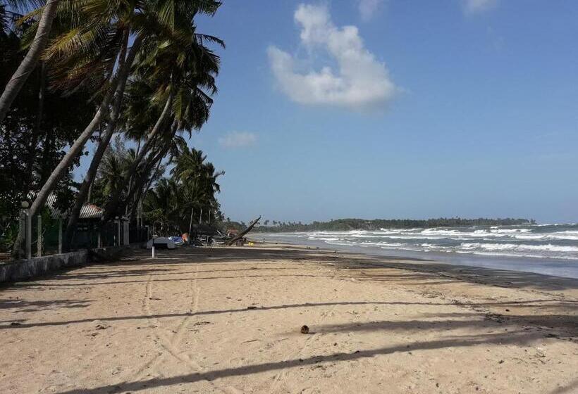 اتاق لوکس, Dive Beach Palace