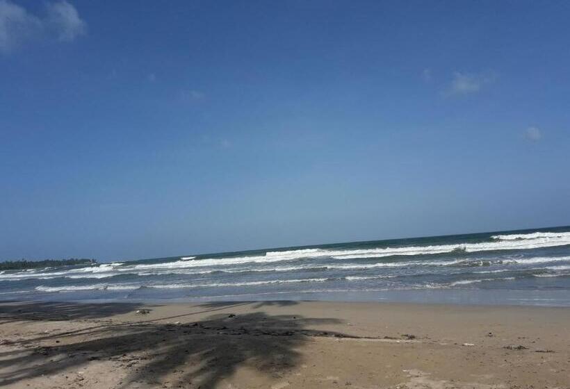 اتاق لوکس, Dive Beach Palace