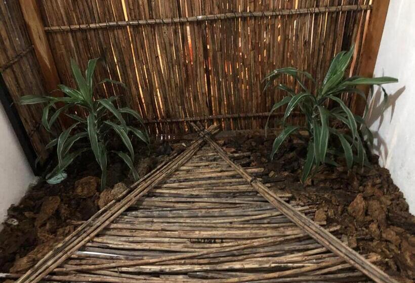 اتاق استاندارد با تراس, Hostal Casa En La Ciénaga