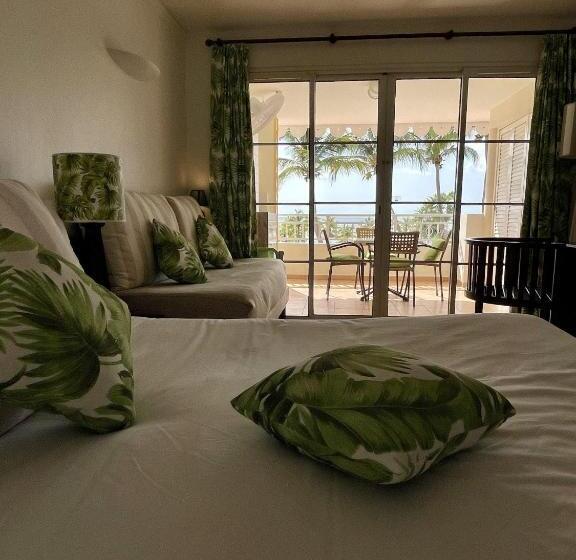 آپارتمان 1 خوابه با چشم‌انداز استخر, Studios Barbadine   Resorts Flats
