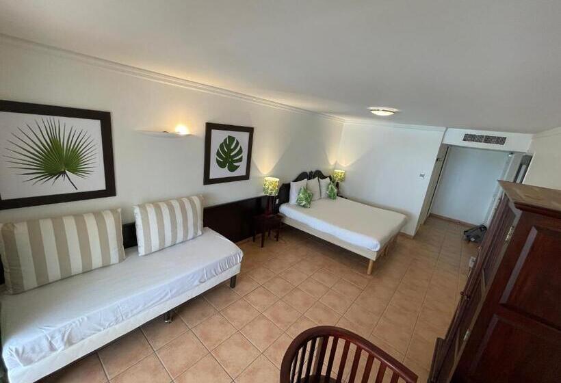 آپارتمان 1 خوابه با چشم‌انداز استخر, Studios Barbadine   Resorts Flats