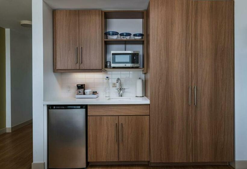 اتاق استاندارد با تخت بزرگ, Element Dallas Las Colinas