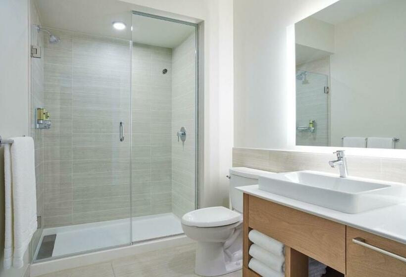 اتاق استاندارد با تخت بزرگ, Element Dallas Las Colinas