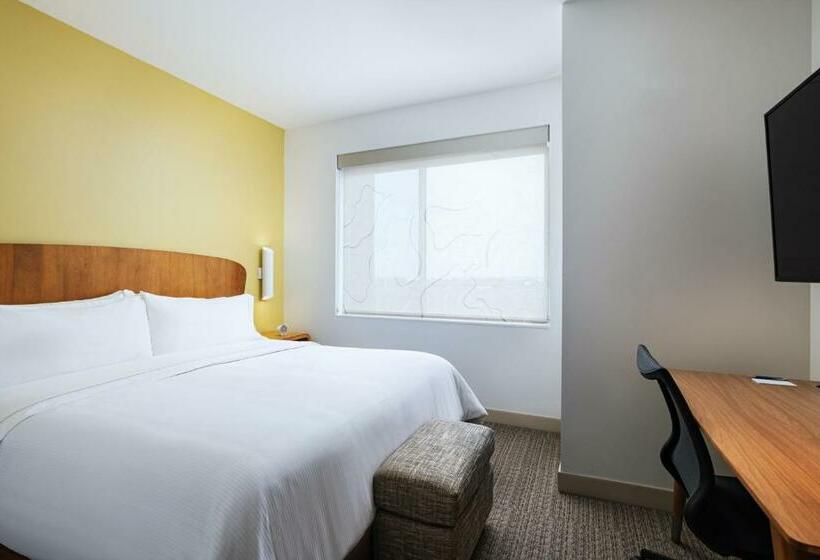 اتاق استاندارد با تخت بزرگ, Element Dallas Las Colinas
