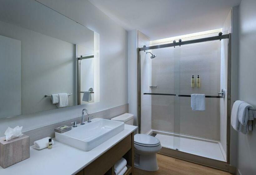 اتاق استاندارد با تخت بزرگ, Element Dallas Las Colinas