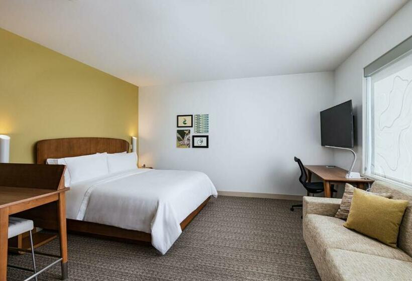 استودیو استاندارد با تخت کینگ, Element Dallas Las Colinas