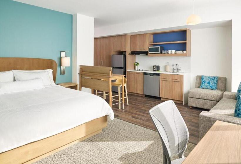 استودیو استاندارد با تخت کینگ, Element Dallas Las Colinas
